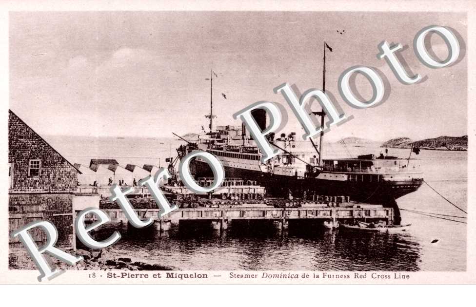 Steamer Dominica de la Furness Red Cross Line