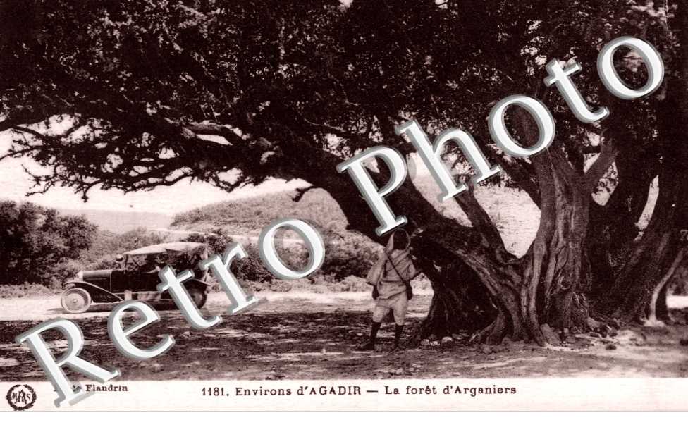 La Foret d'Arganiers