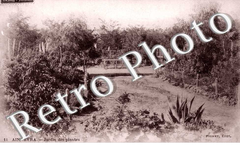Jardin des plantes