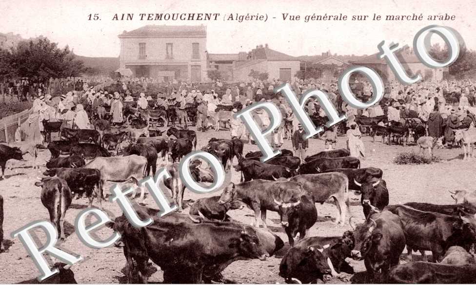 Ain-Temouchement, Vue Generale sur le Marche Arabe