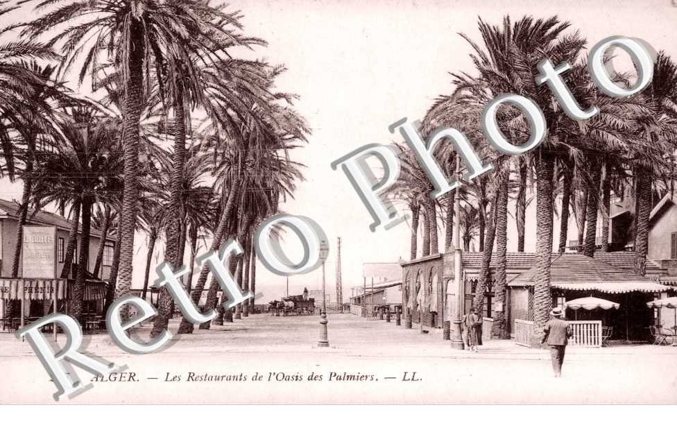 le Restaurant de l'Oasis des Palmiers
