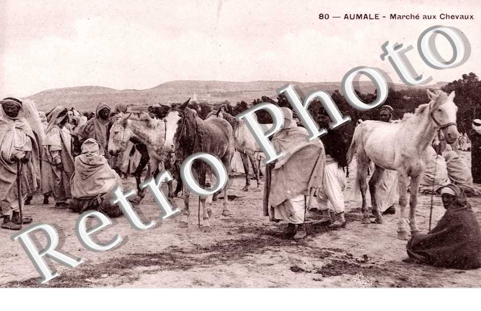 Marche aux chevaux