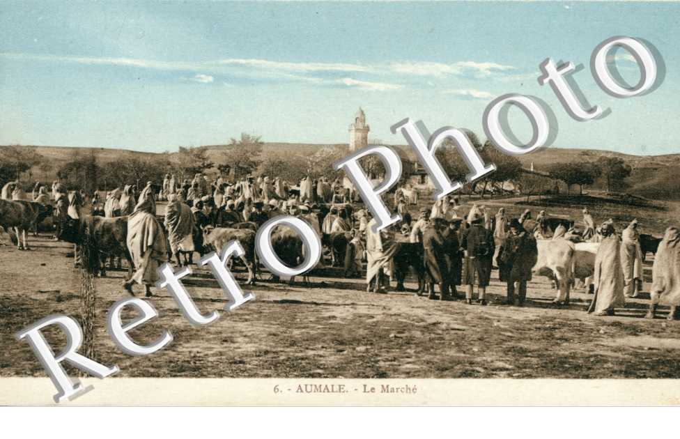 le Marche