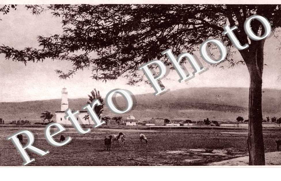 paysage