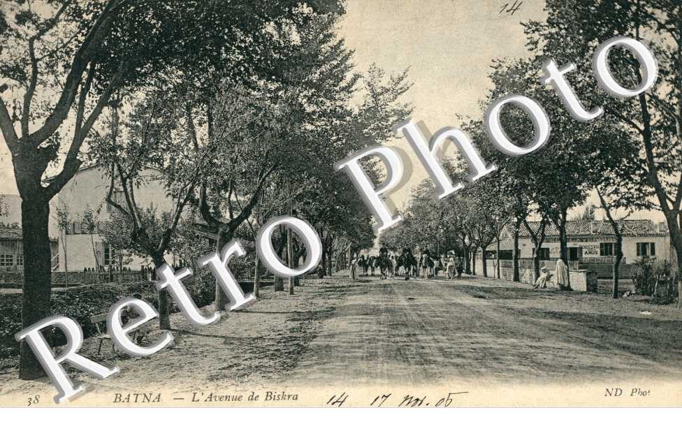 l'Avenue de Biskra