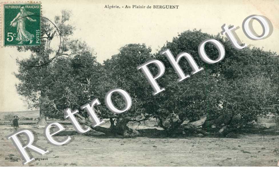 Un arbre extraordinaire