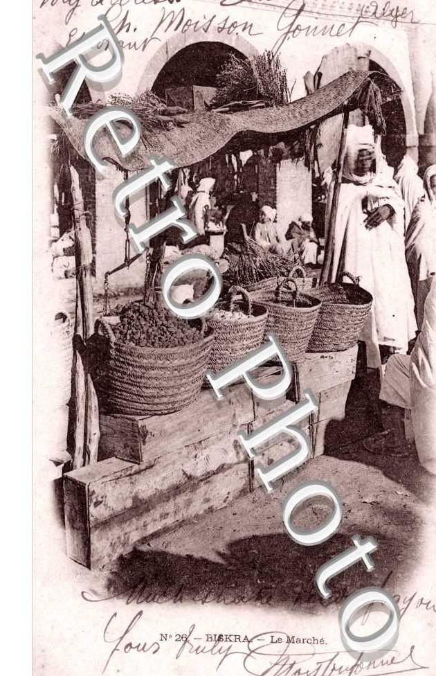 le Marche