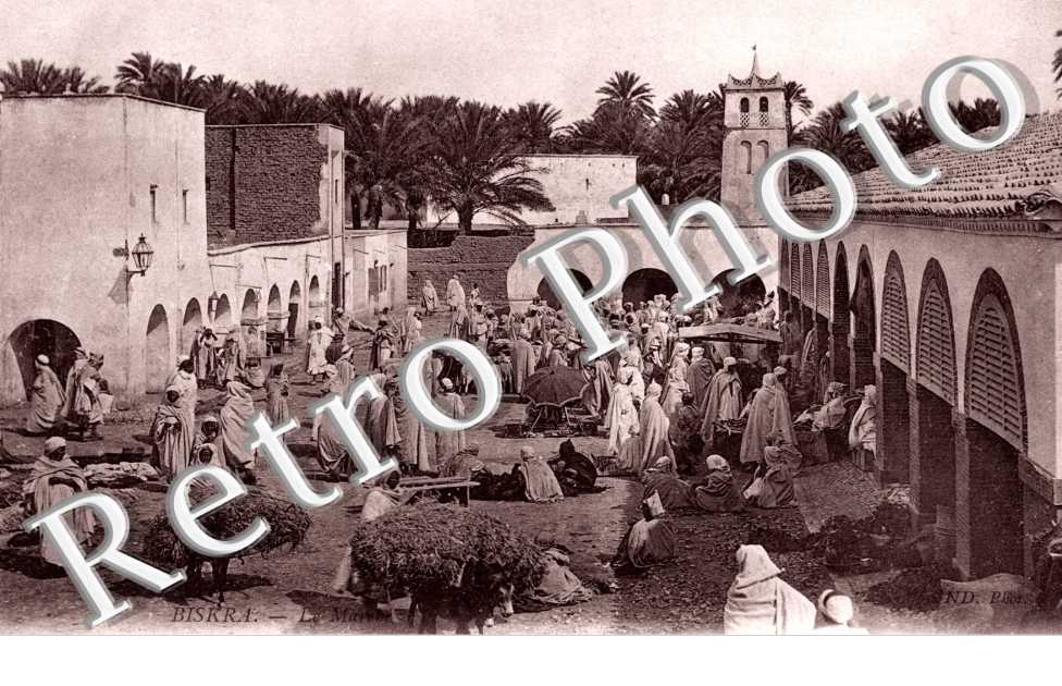 le Marche