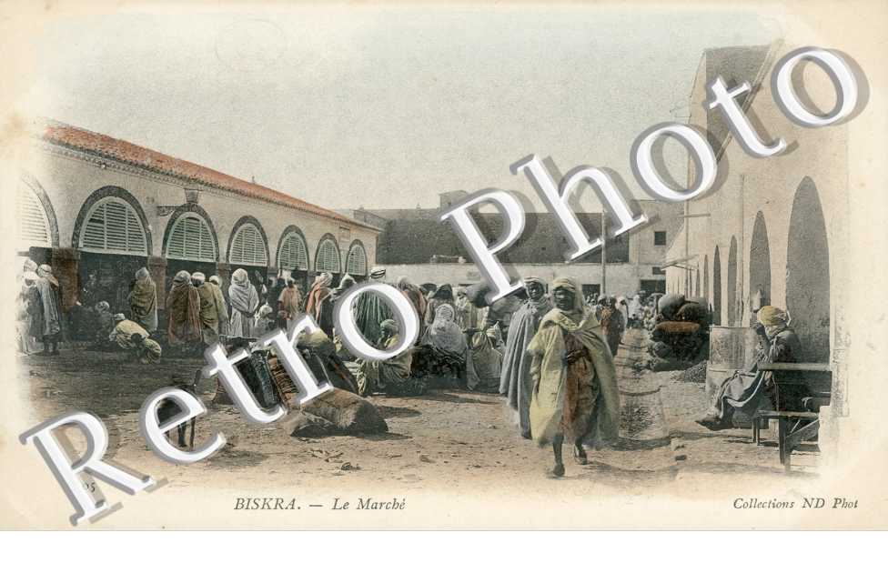 le Marche