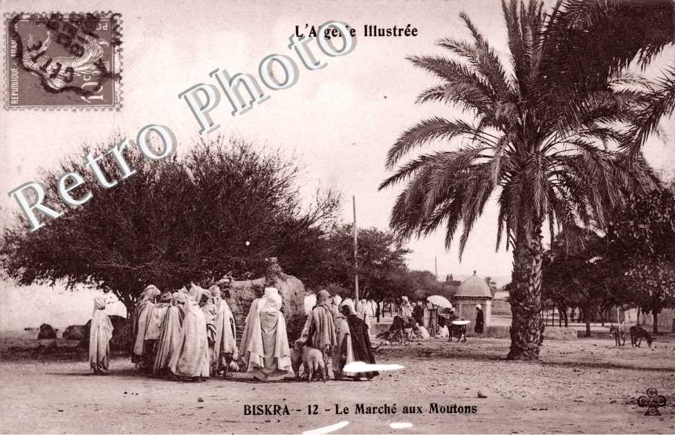 le Marche aux moutons