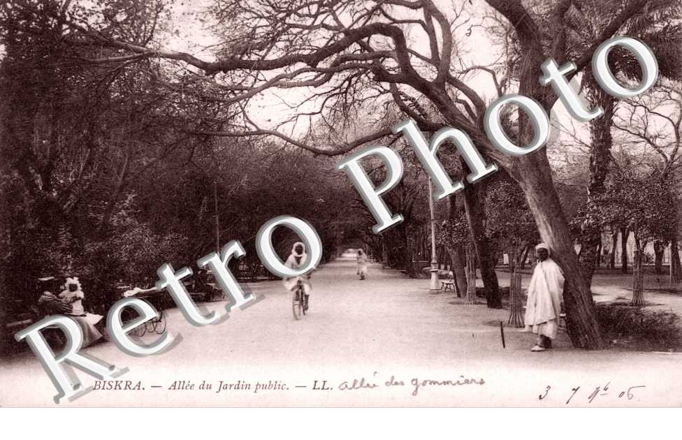 Allée du Jardin Public