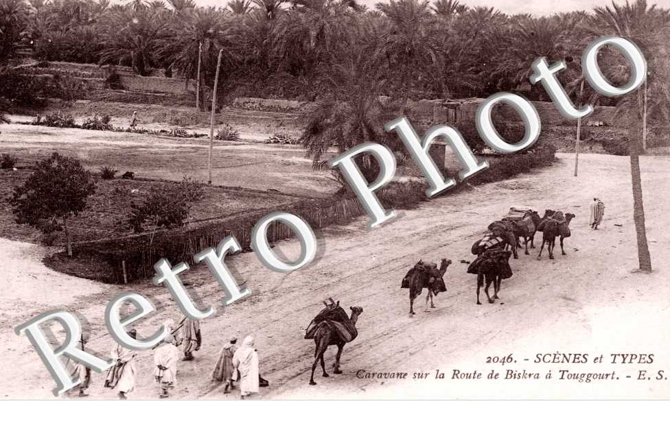 Caravane sur la Route de Biskra a Touggourt