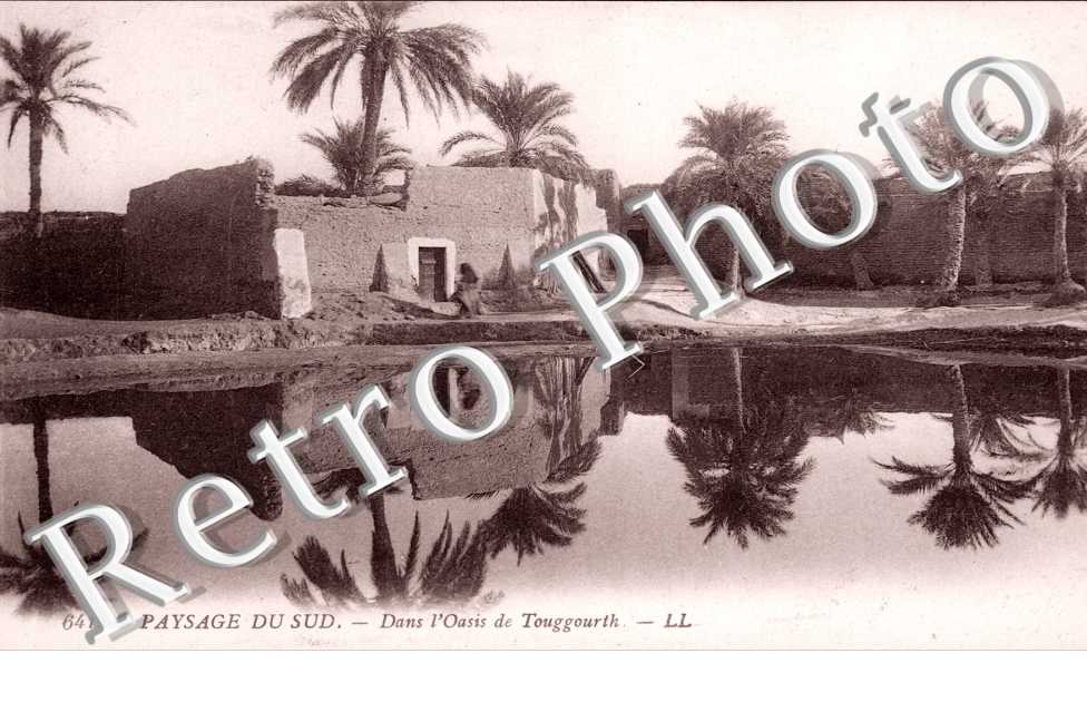Dans l'Oasis de Touggourt