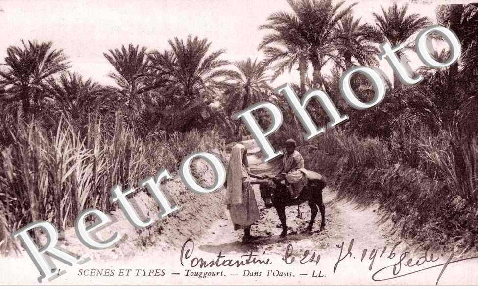 Dans l'Oasis