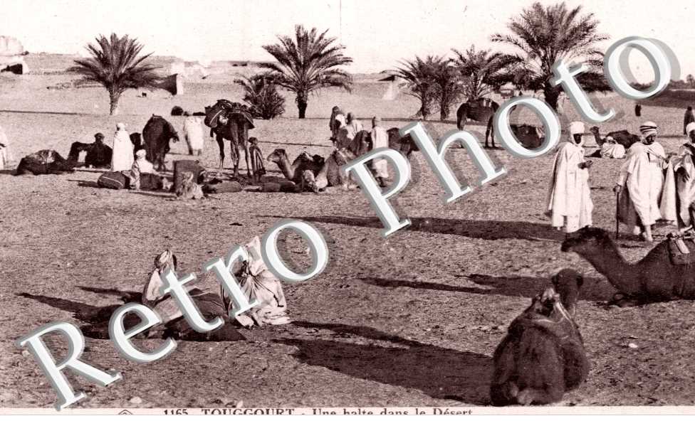 Halte dans le desert