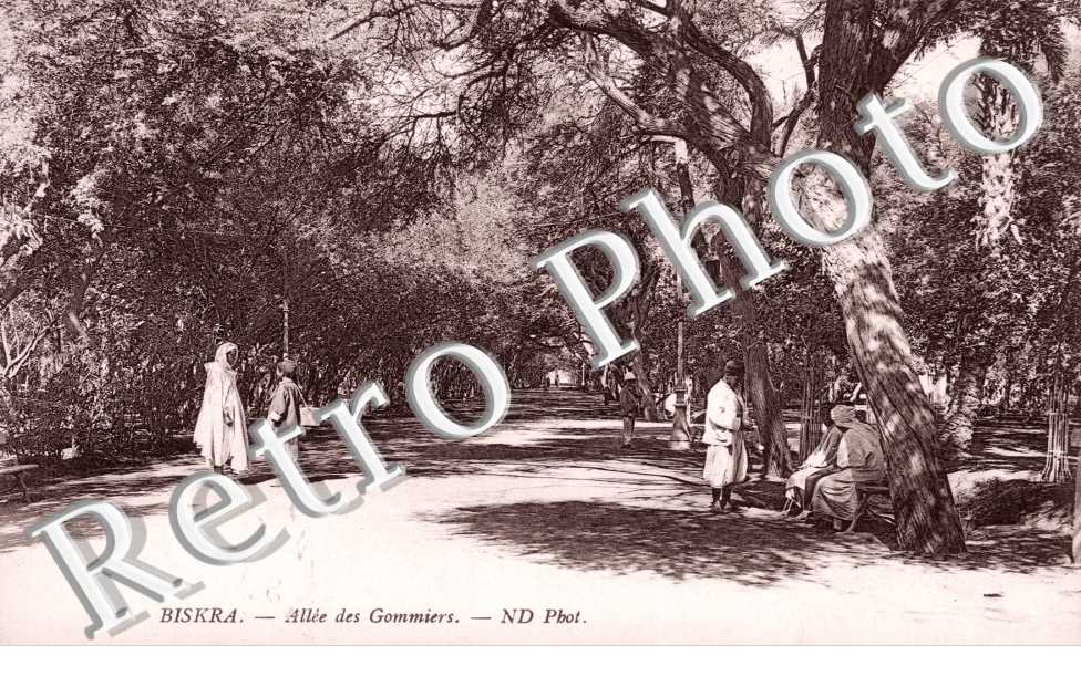 Allee des Gommiers