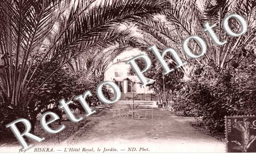Royal Hotel, le jardin