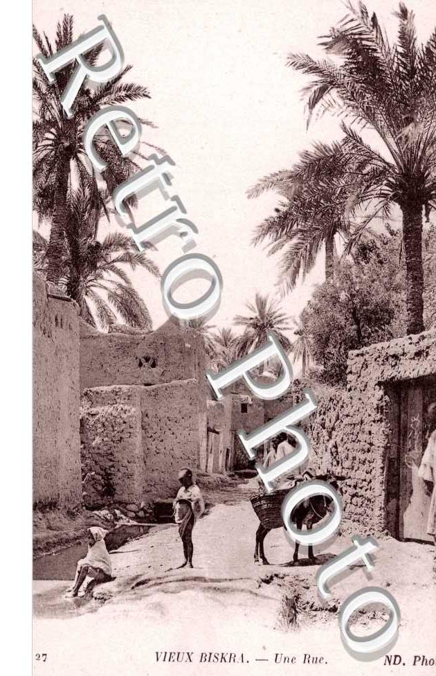 rue du Vieux Biskra