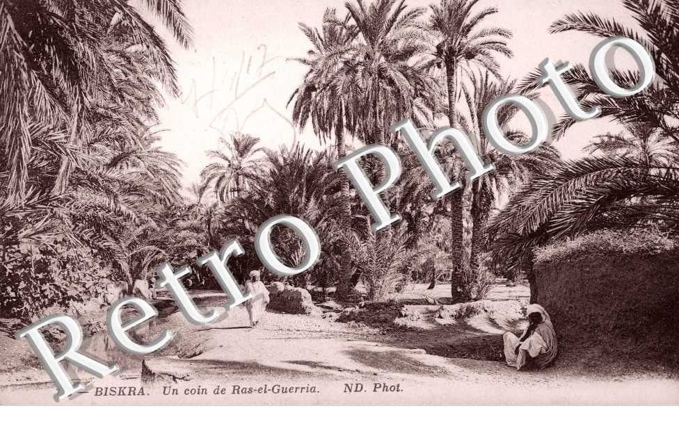 Un coin de Ras el Guerria