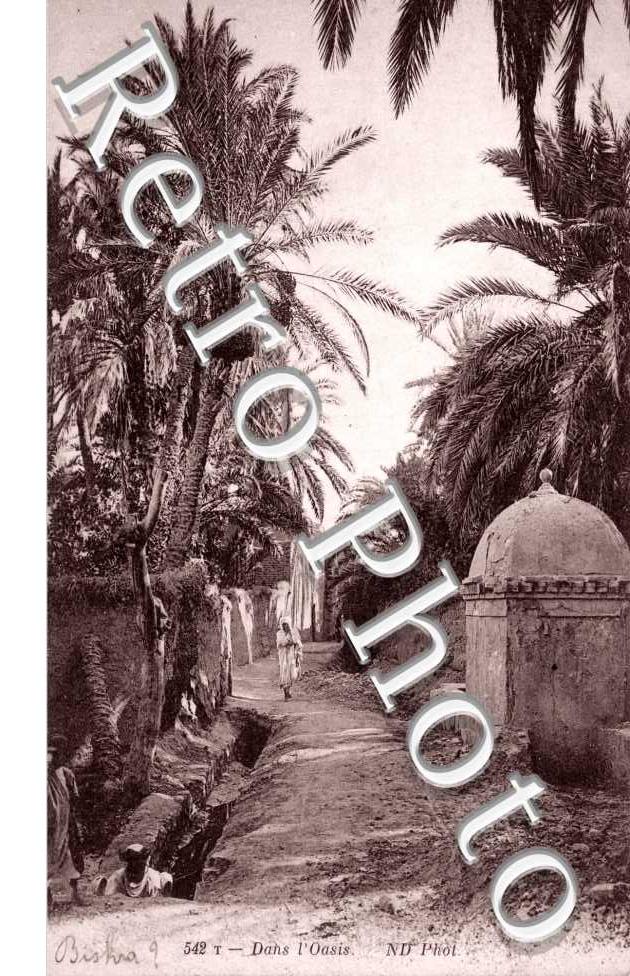l&#039;Oasis