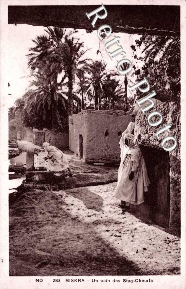Un coin des Stag-Cheurfa