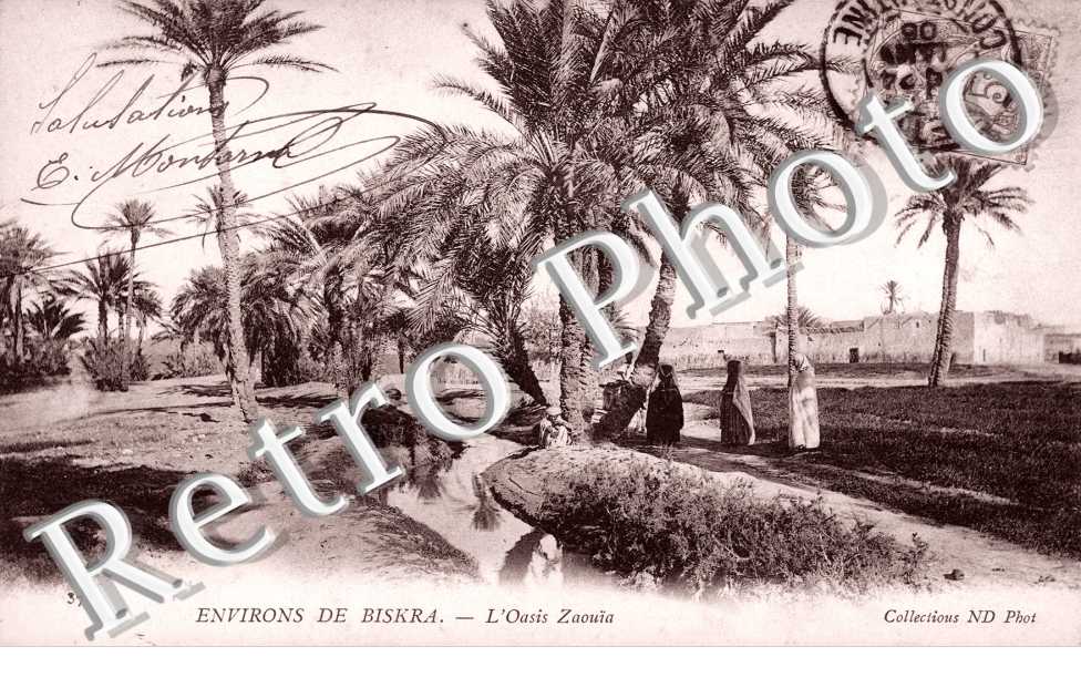 L&#039;oasis Zaouia