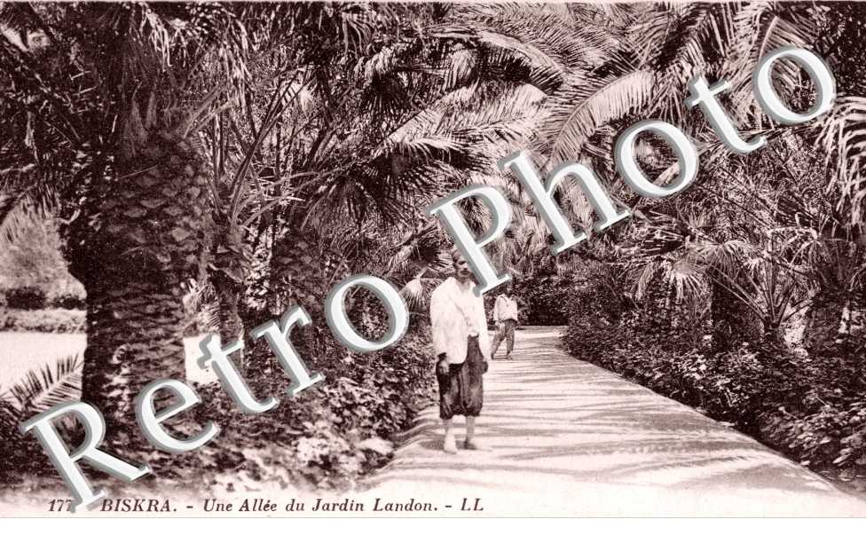 Une allee du jardin Ladon