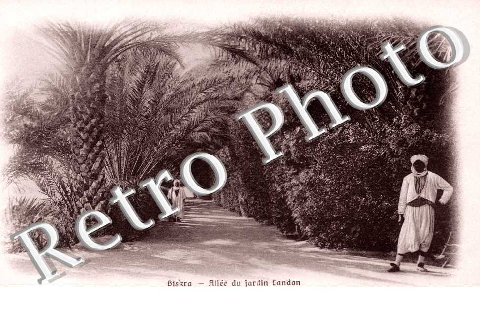 allee du jardin Ladon