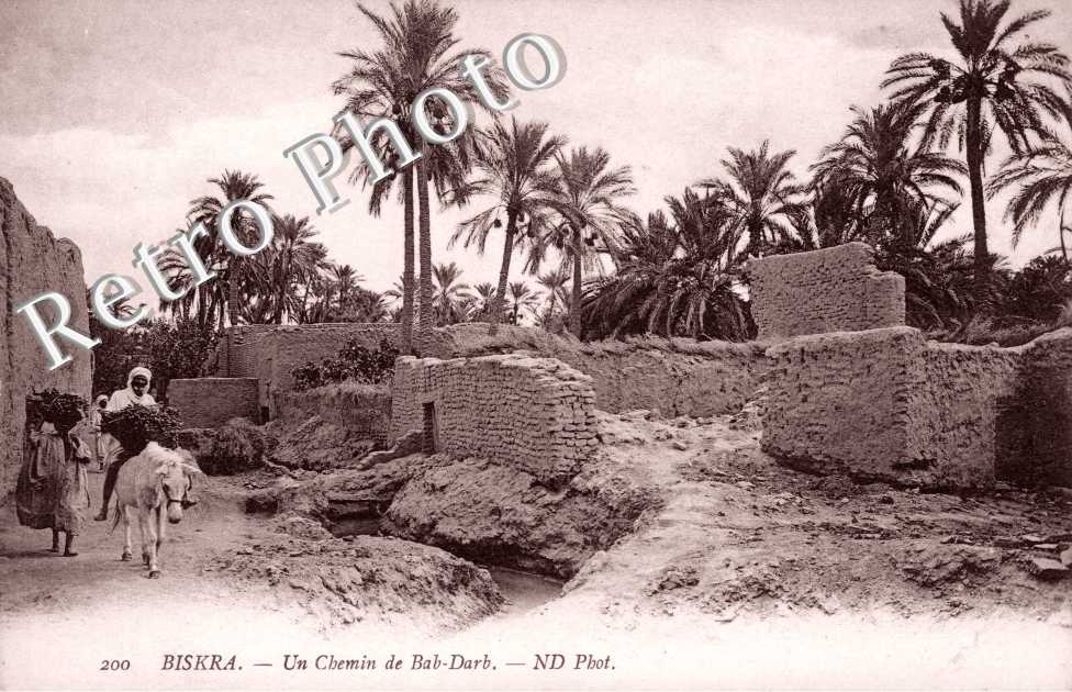 Un Chemin de Bab-Dark