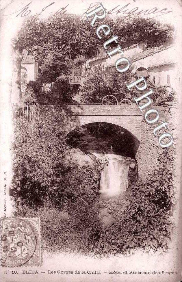 les Gorges de la Chiffa, Hotel et Ruisseau des Singes