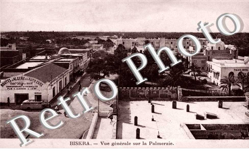 Vue generale sur la Palmeraie