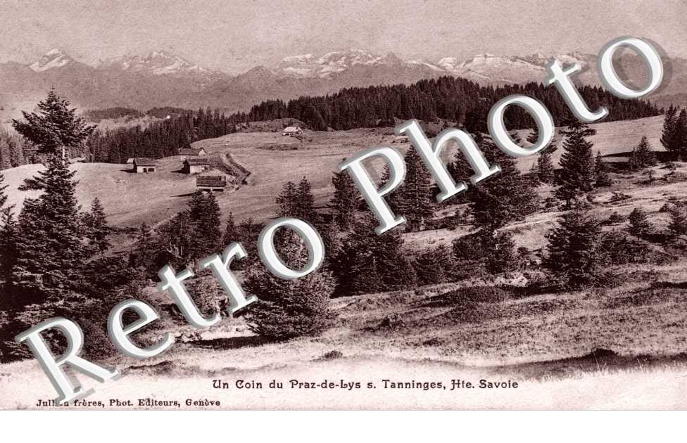 Un Coin du Praz de Lys. Tanninges