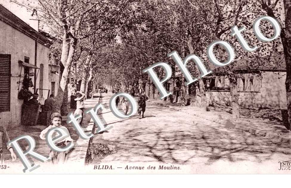 Avenue des Moulins