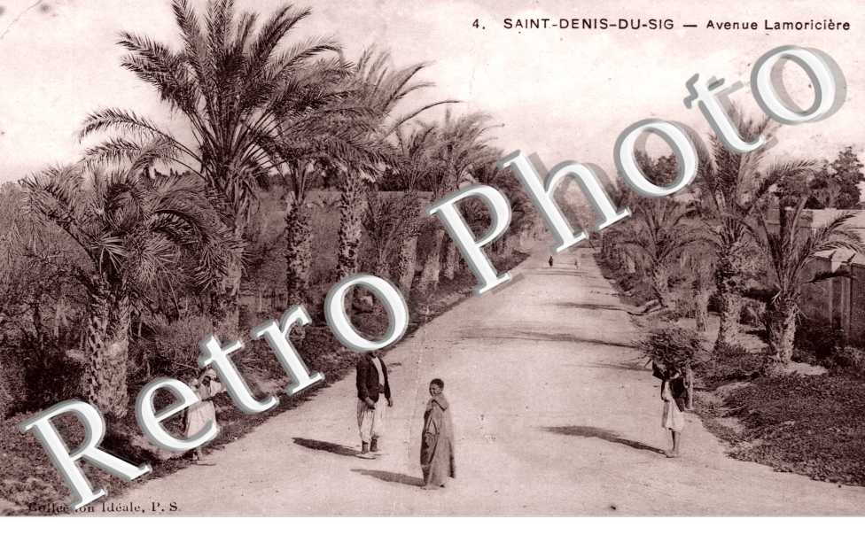 Avenue Lamoriciere