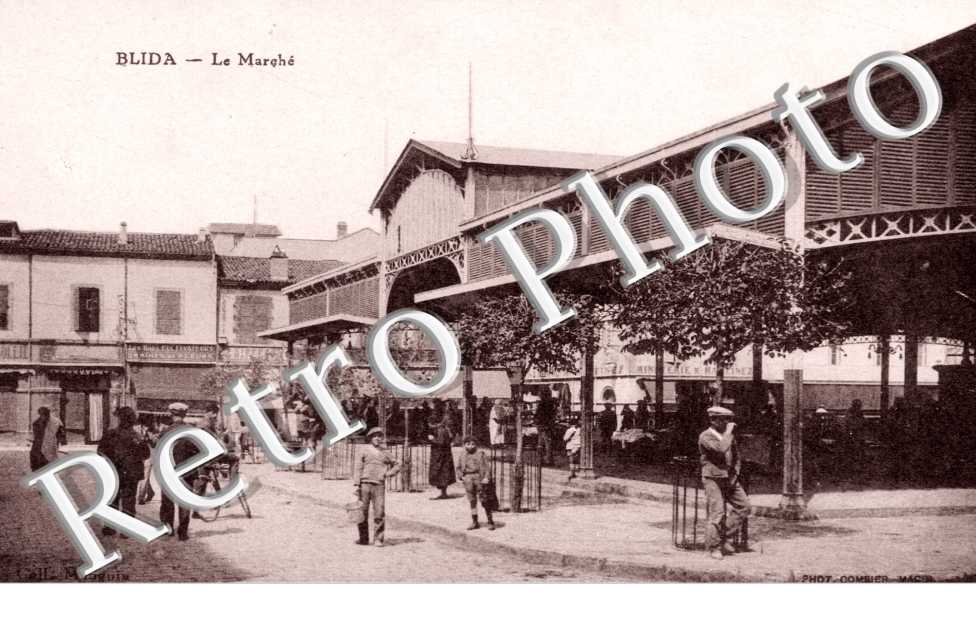 le Marche