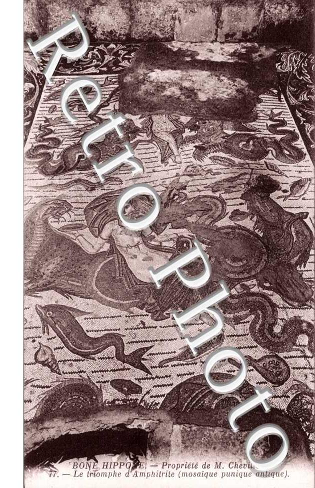 Hippone, proprioete de M. Chevillot