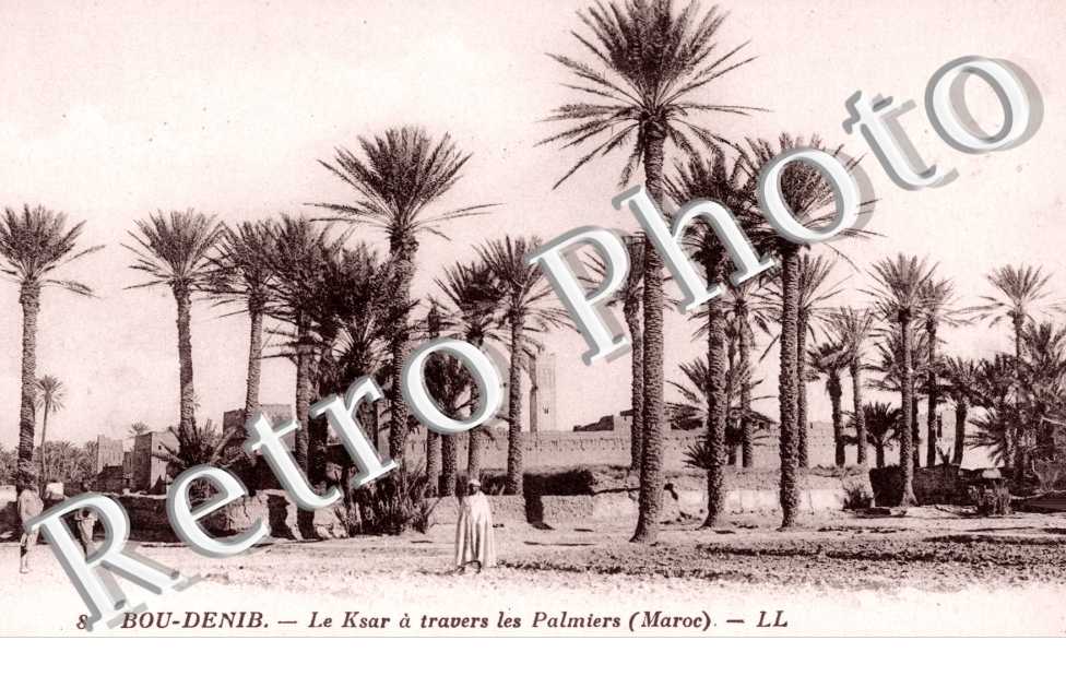 Le Ksar a travers les palmiers