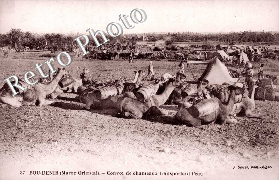 Convoi de chameaux transportant l&#039;eau