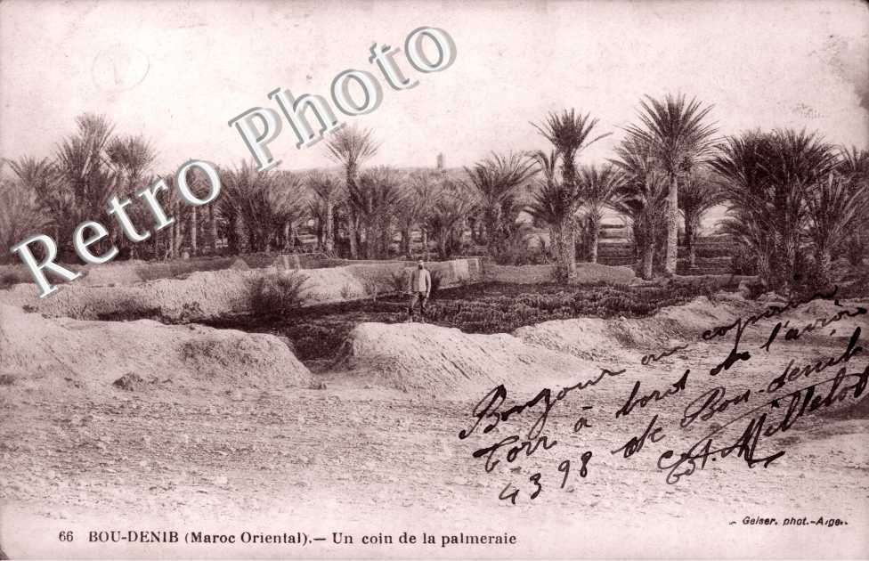 Coin de la Palmeraie