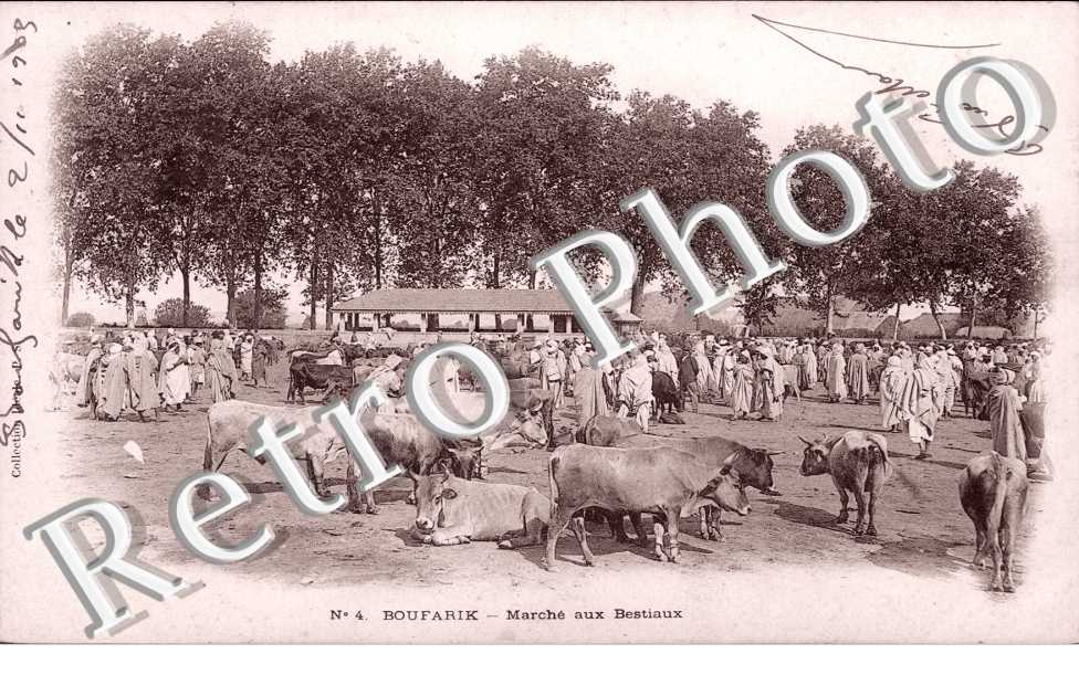Marche aux Bestiaux