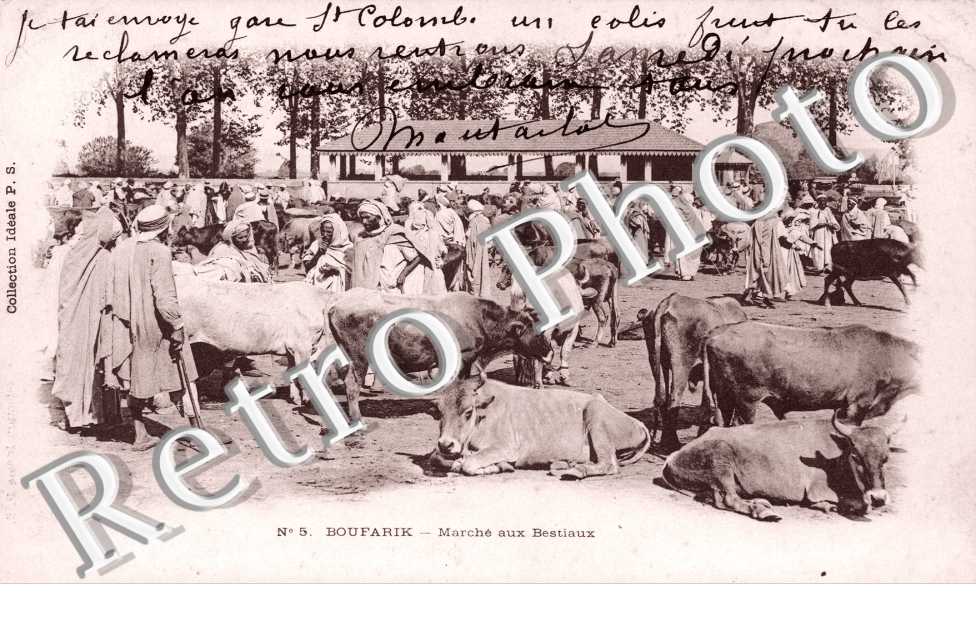 Marche aux Bestiaux