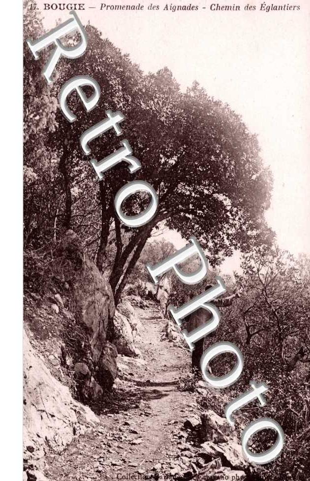 Chemin de Eglantiers
