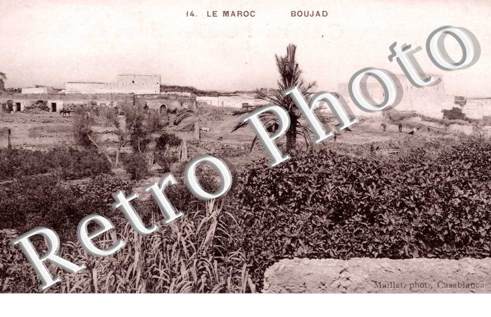 Vue d'Ensemble