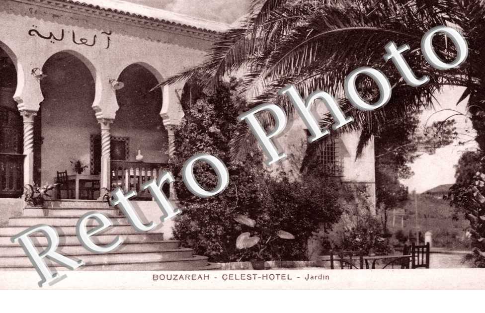 Celest-Hotel - jardin
