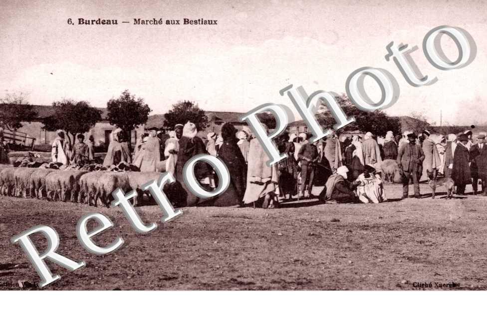 Marche aux bestiaux