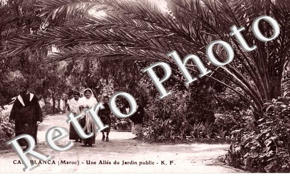 Une Allee du Jardin public