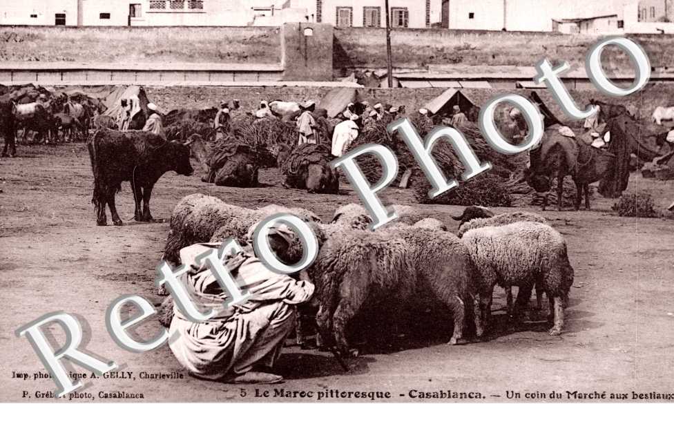 Marche aux Bestiaux