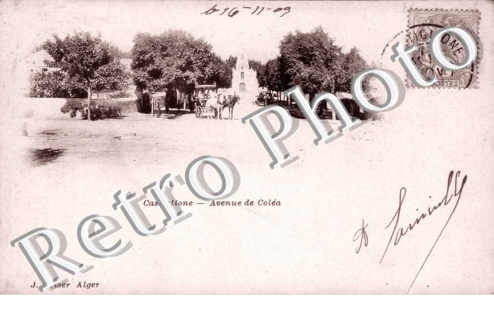 Avenue de la Colea