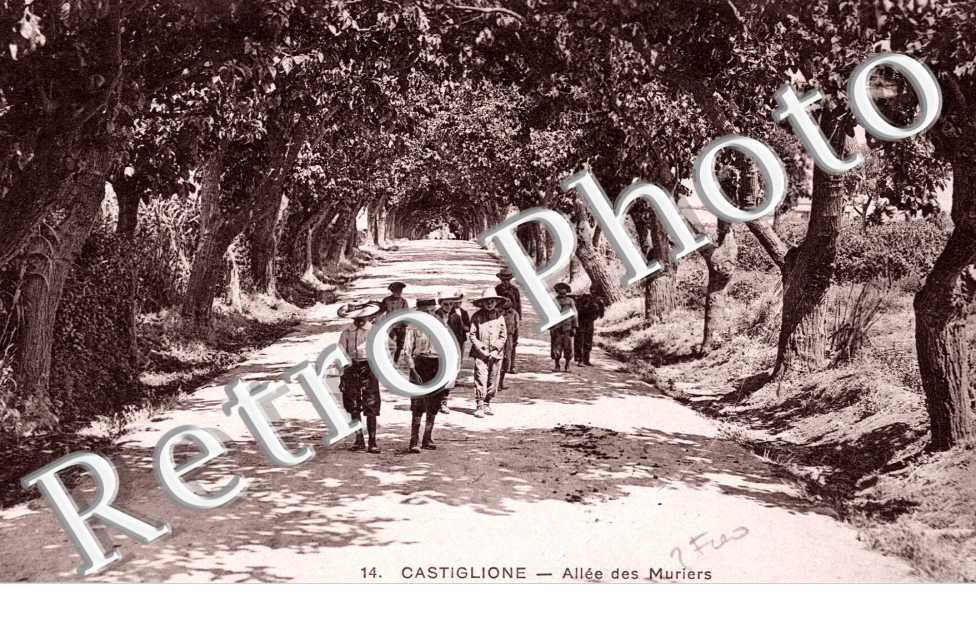 Allee des Muriers