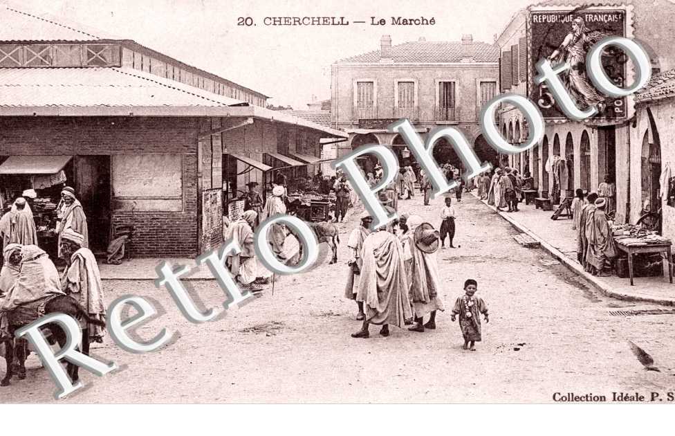 le Marche